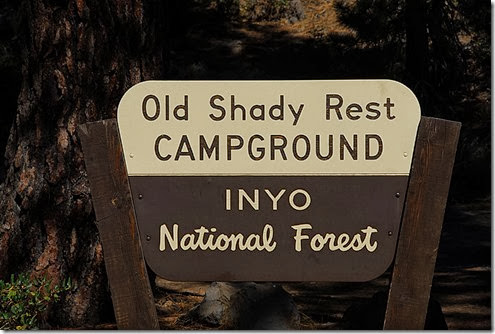 Old Shady Rest Sign