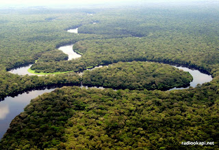 Rivière dans le parc national de la Salonga, Forêt équatoriale, 2005.