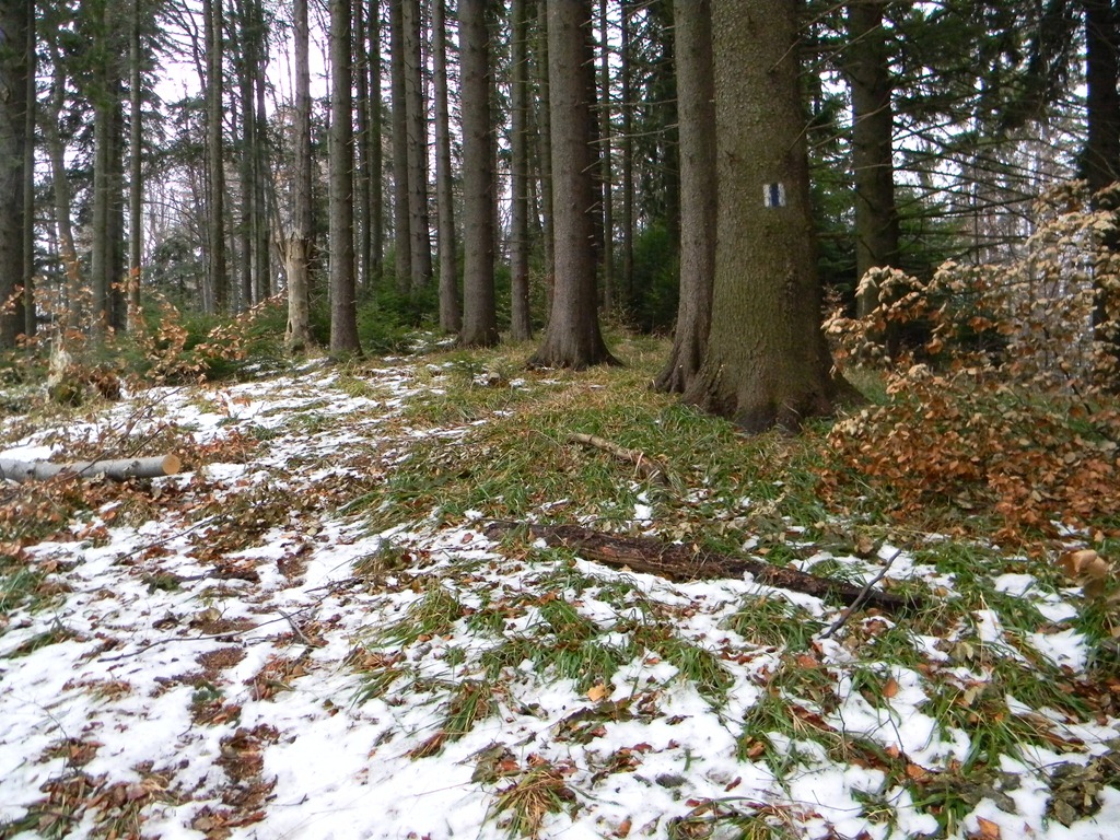 [DSCN67593.jpg]