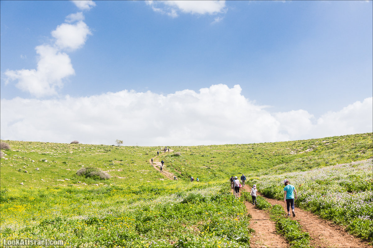 LookAtIsrael.com - Ручей (нахаль) Талкид | Nahal Talkid | נחל תלקיד
