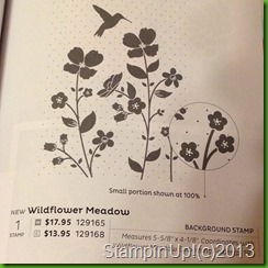 wildflower meadow catalog