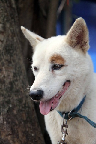 [IMG_0417%255B3%255D.jpg]