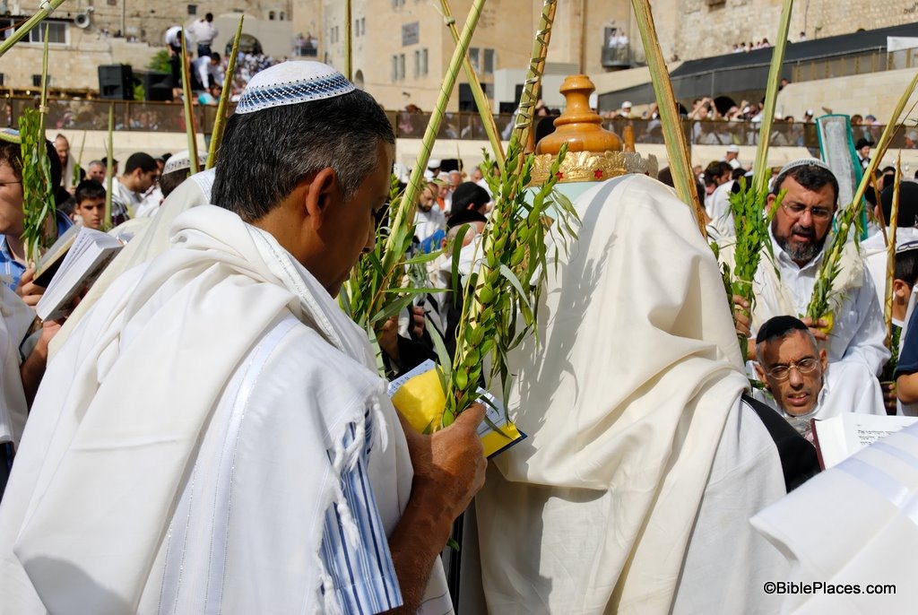 [Man%2520with%2520four%2520species%2520of%2520Sukkot%2520at%2520Western%2520Wall%252C%2520tb100906953%255B3%255D.jpg]