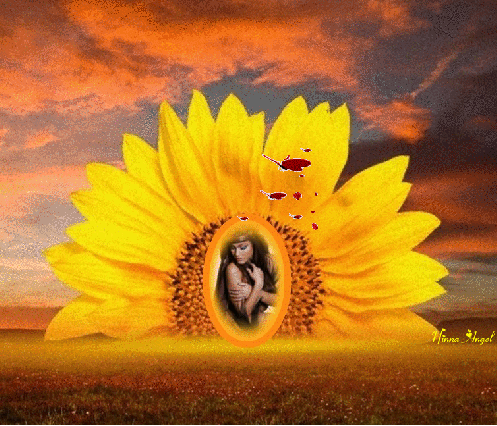 ..ninnaangelas6.gif