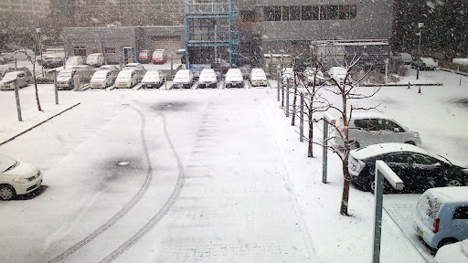 [写真]会場からみえる雪景色