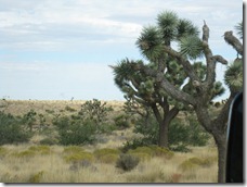 IMG_7928 IMG_7928