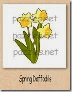 spring daffodils-200_thumb