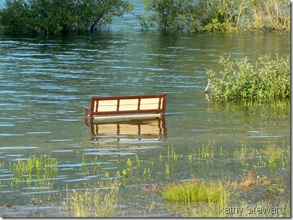 Seat of bench under water