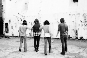 The Sheepdogs