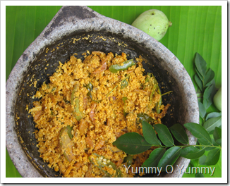 Dried Prawn and Mango