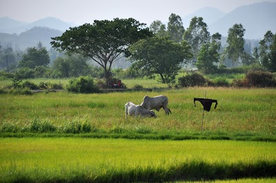 DSC_0838.JPG