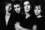 Elastica