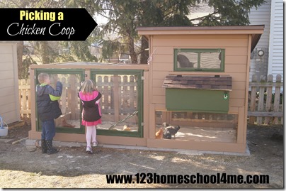 Backyard Chickens 101: Picking a Chicken Coop Backyard Chickens 101: Picking a Chicken Coop