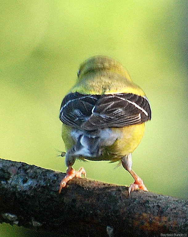 [DSC_4032%255B8%255D.jpg]