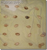 germination test