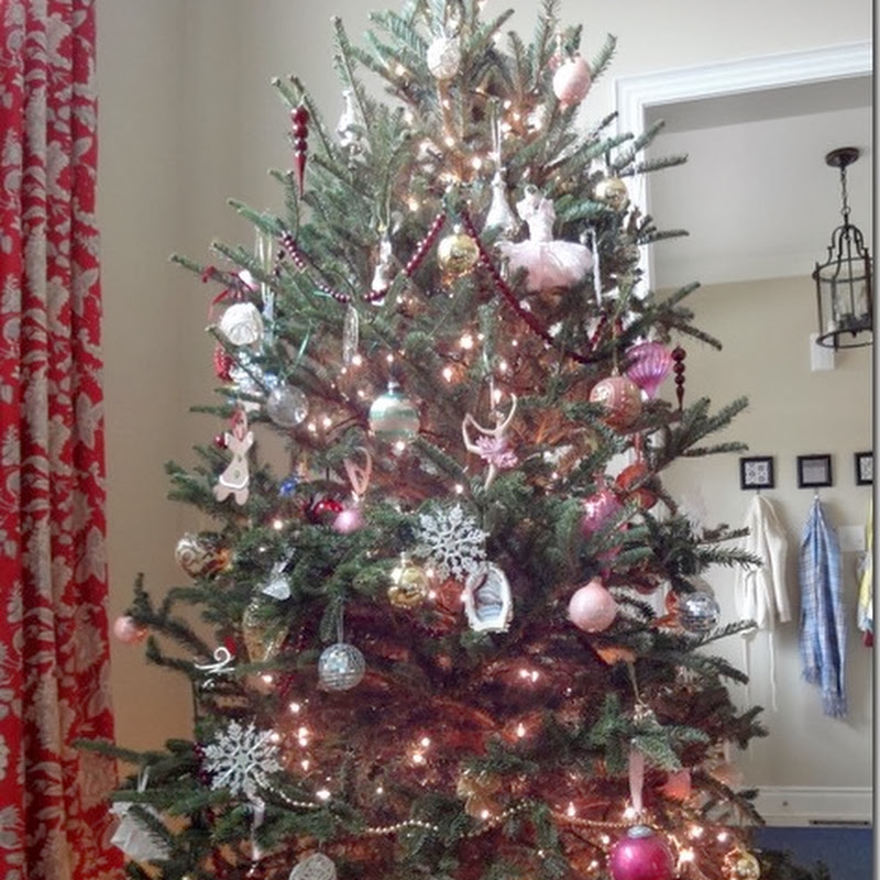 O Christmas Tree!