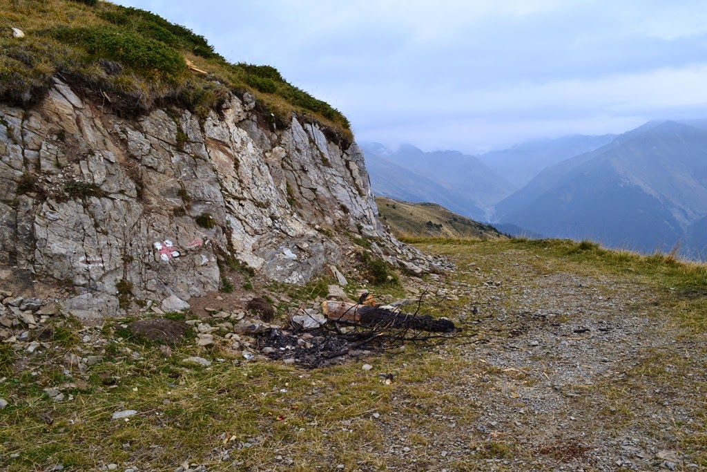 [DSC_10553.jpg]