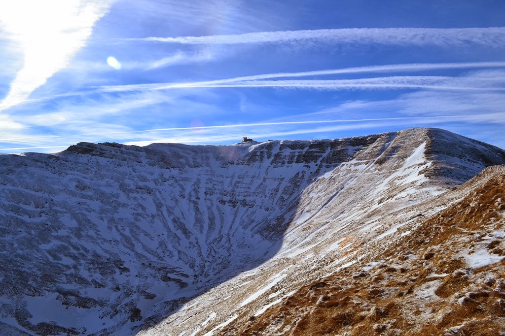 [DSC_06103.jpg]