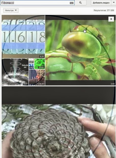 Fibonacci приколы youtube 2013