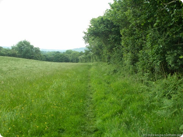 wolsingham meadows
