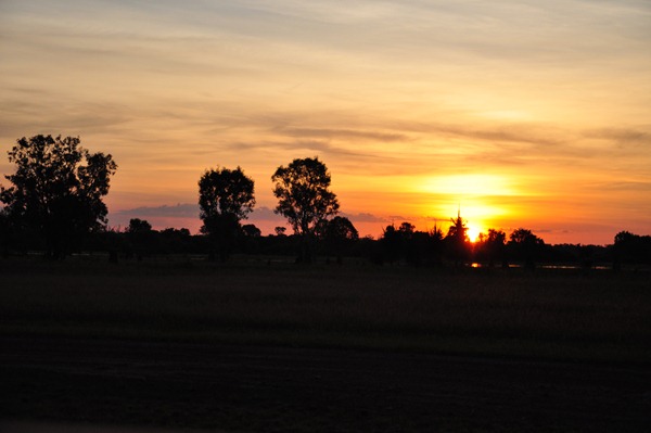 DSC_0451a