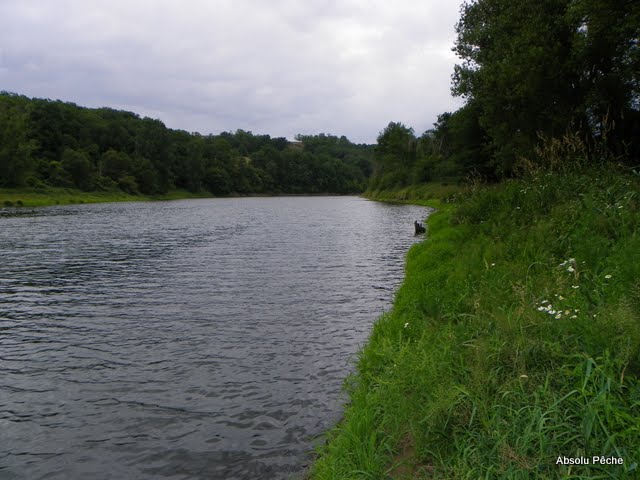 Loire à l&#039;embouchure de l&#039;Aix photo #378