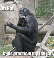 Monkey T'ai Chi