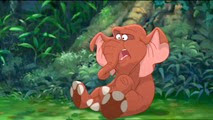 02 Tantor