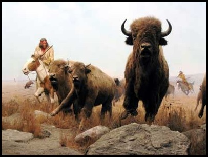 Le massacre des bisons en Amérique-12