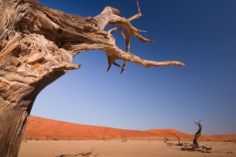 deadvlei-3