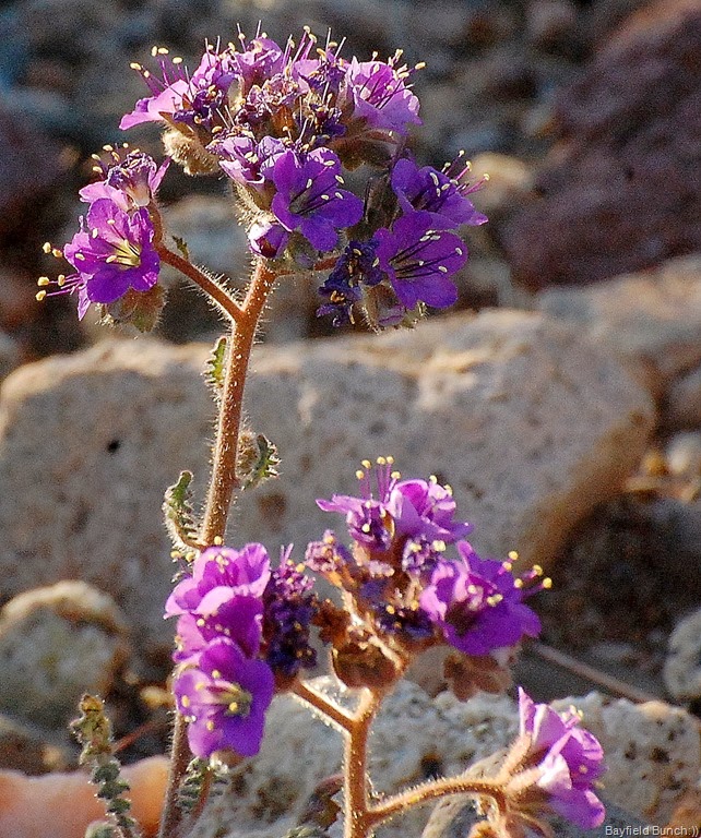 [DSC_6246%255B4%255D.jpg]