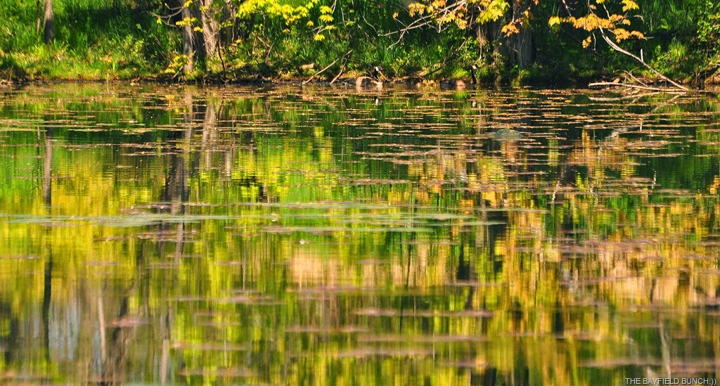 [DSC_0036%255B4%255D.jpg]