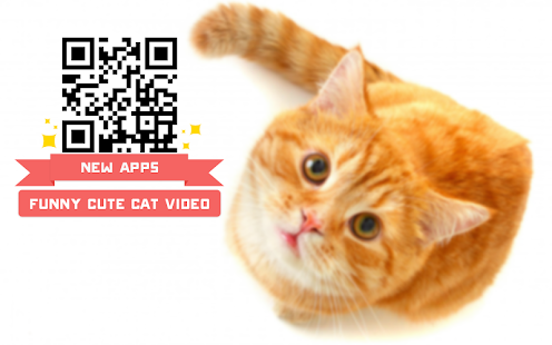 Funny Cute Cat Video Screenshots 5