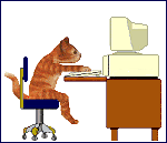 a_cat_computer