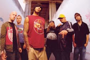 Hed Pe