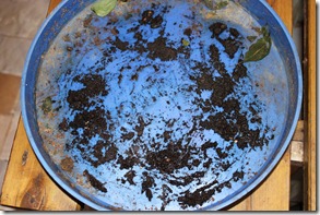 IMG_0467 IMG_0467