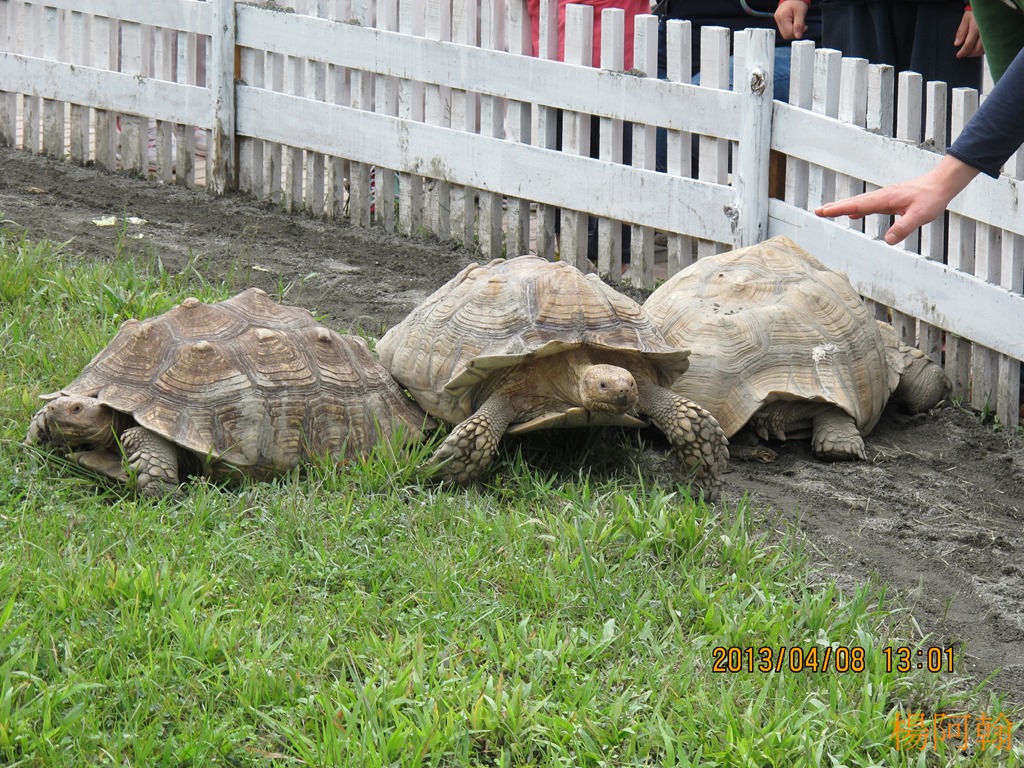 [2013----1144.jpg]