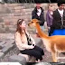 Funny Animals Video: Most See Funny Dogs & Funny Cats.Funny videos ever