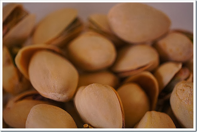 pistachios-free-pictures-1 (1348)