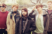 Foals