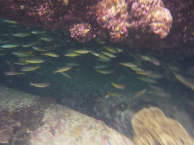 P1050316.JPG