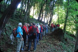 2014-15-05- Bosc de Tosca - la fageda -Bosc de Tosca 037