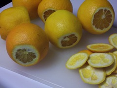 orange-marmalade 003