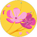 Image Google de Cam Gosselin