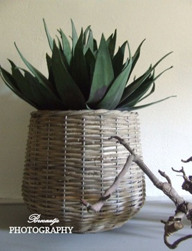 bloempot rattan (1)