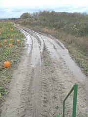 10.29.11 Cousins halloween get together muddy trail on hayride