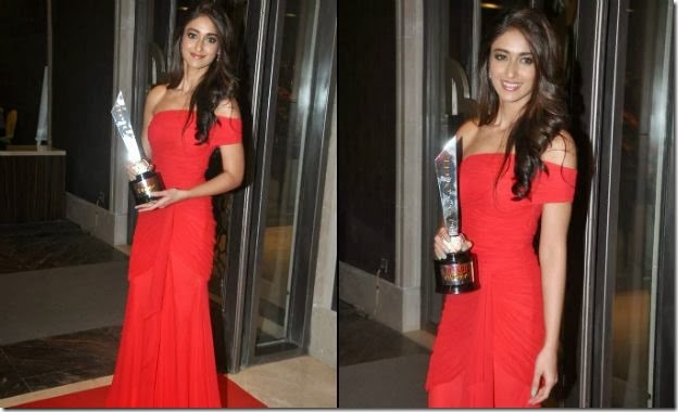 Hello Awards_2013 (7)