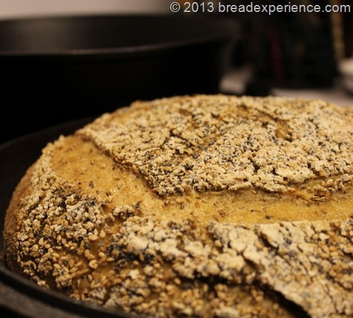 Seeded Semolina and Spelt Tartine