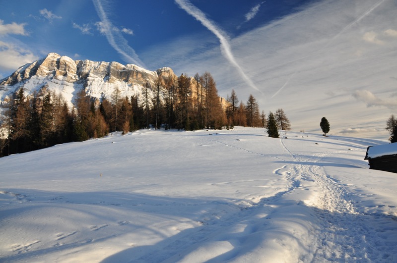 DSC_8204.JPG DSC 8204