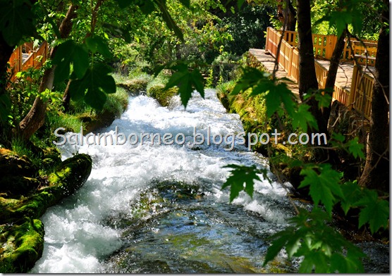 DSC_1448_Fotor DSC_1448_Fotor